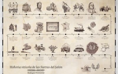 Historia del vino ilustrada para Bodegas Frontonio.