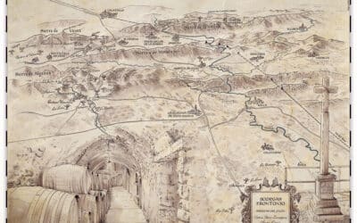Mapa para bodegas Frontonio. Los viñedos del Valle del Jalón.